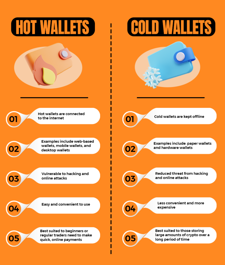 hot vs cold wallet